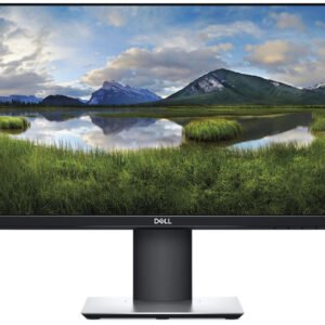 DELL P2419H