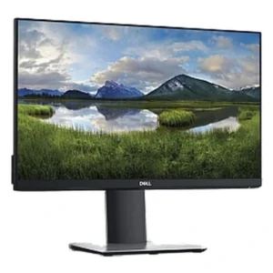 DELL P2419H