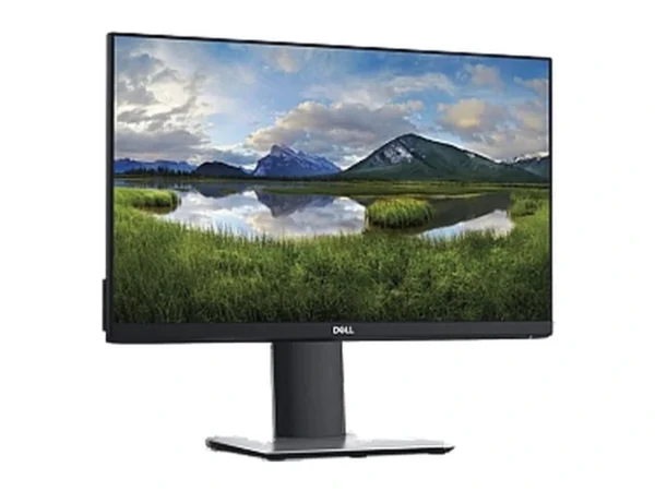 DELL P2419H